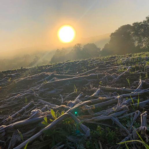 Temperaturas devem chegar a 5ºC em pontos da região Extremo-Oeste