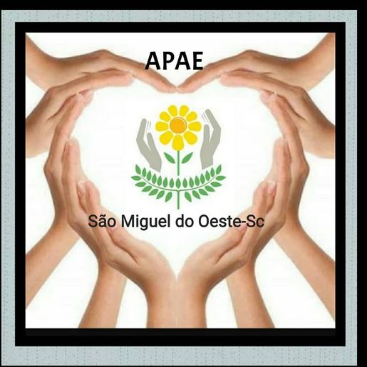 APAE de SMOeste quer garantir recursos para obras de ampliação