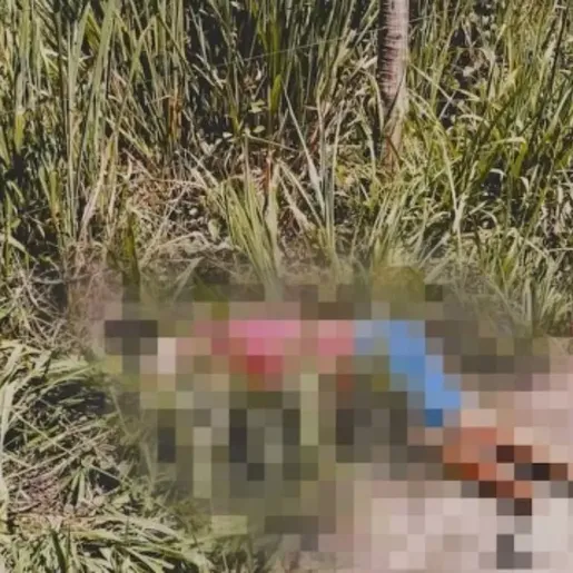 Mulher é presa suspeita de mandar matar estuprador da filha de 11 anos