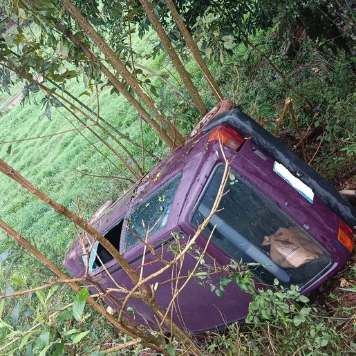 Motorista fica ferida ao sair da pista e colidir em árvore