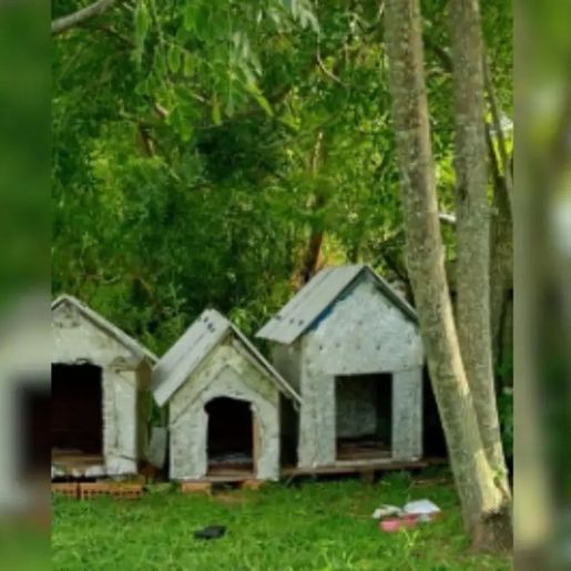 MP vai pedir novas diligências para conclusão sobre coação e ameaça no caso Orelha