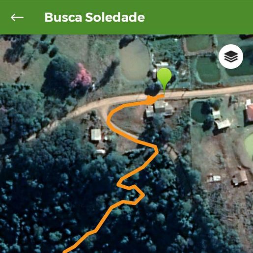 Homem que estava desaparecido é encontrado em meio a lavoura de milho