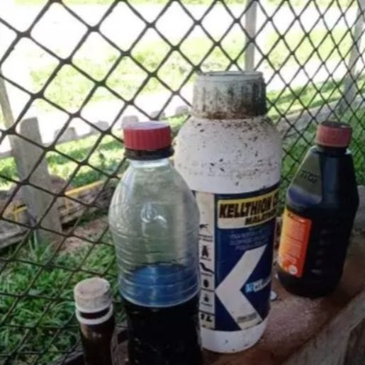 Irmãos morrem após beberem veneno pensando ser suco de uva