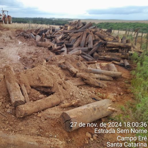 Depósito de madeiras é atingido pelo fogo em Campo Erê