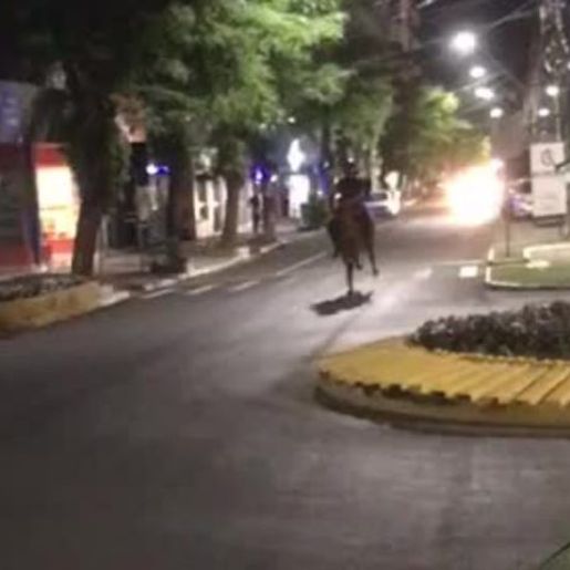 Jovem é filmado em ‘delivery com égua’ em SC e vídeo viraliza