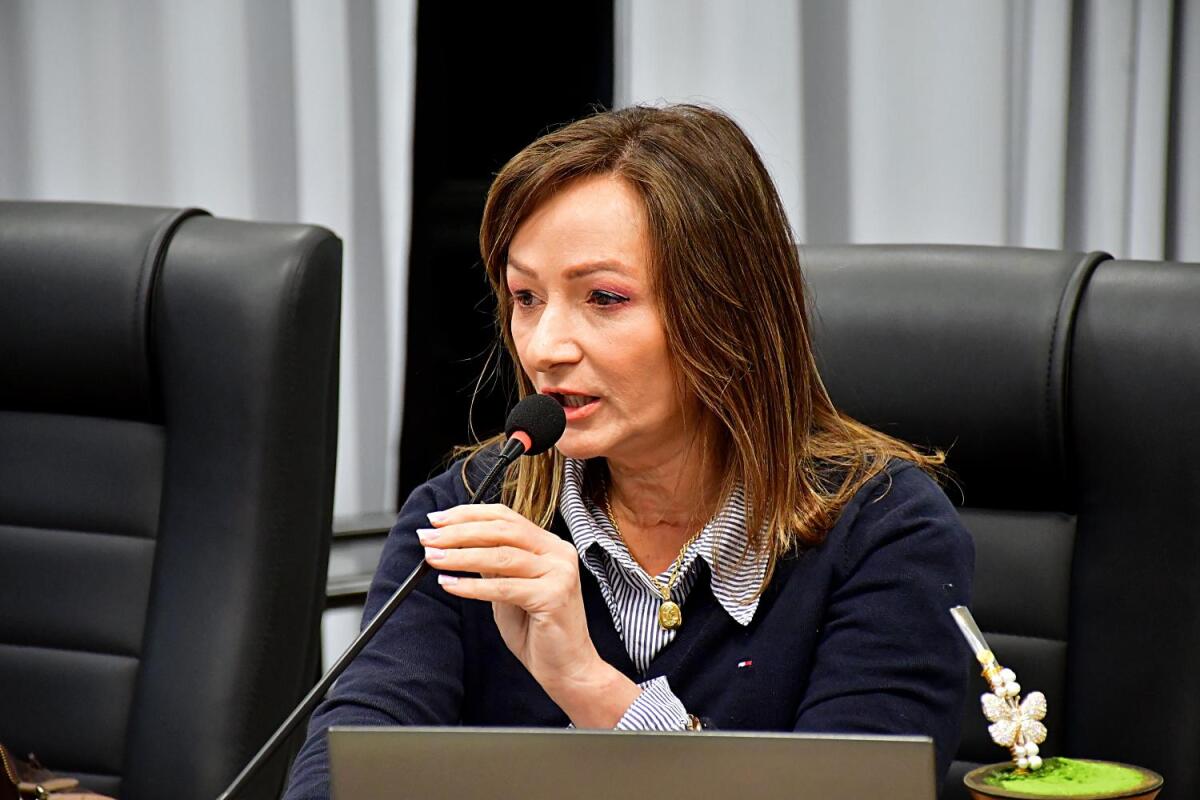 Vereadora pede informações sobre dívida de empresa com o município