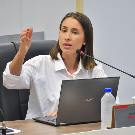 Câmara de São Miguel do Oeste aprova projeto para promover saúde mental materna