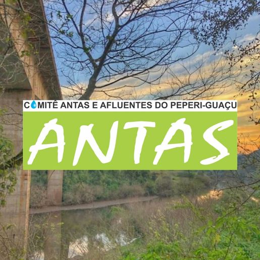 Comitê Rio das Antas organiza reunião para Planejamento Estratégico