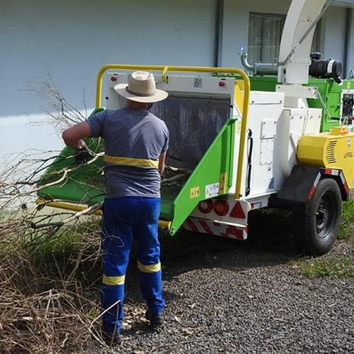Nova fase da recolha de galhos inicia na próxima semana em SMOeste