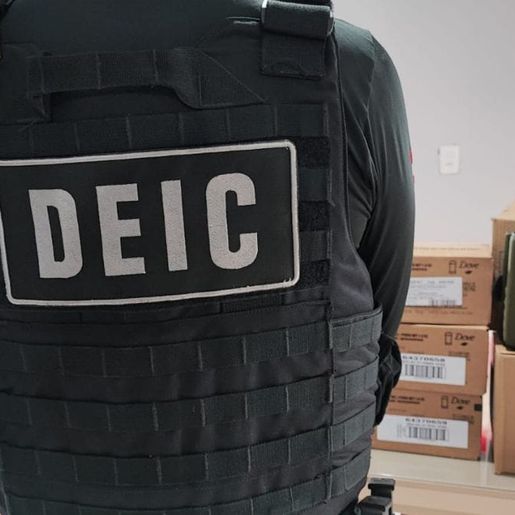 Grupo suspeito de furtar 100 carros de luxo é alvo de operação em SC