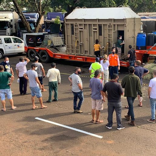 Para passagem de elefanta, fronteira entre Brasil e Argentina é reaberta