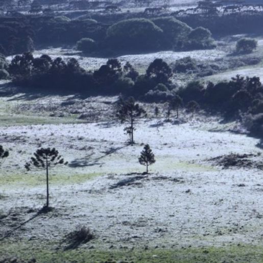 "Feriadão" de Carnaval pode ter mínima de 2ºC e geada em Santa Catarina