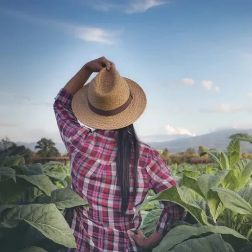 Sindicalista alerta para êxodo rural de jovens trabalhadoras no Extremo Oeste