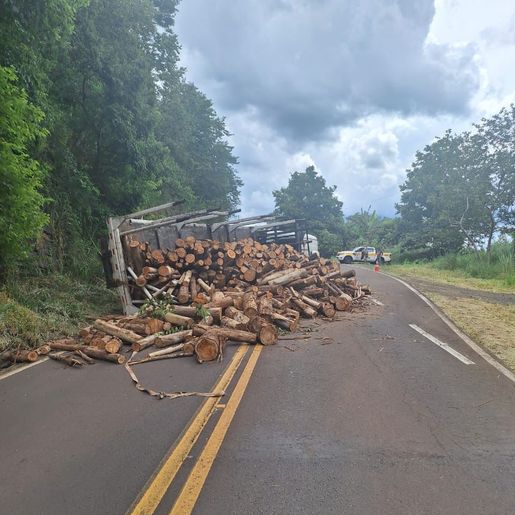 Caminhão carregado de madeira tomba na SC-161 em Flor do Sertão