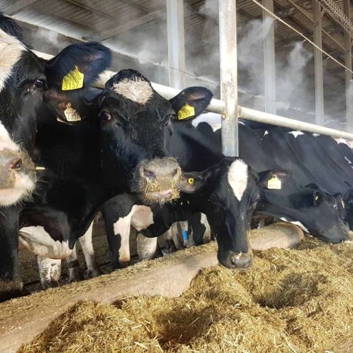 Cidasc atinge 65% das metas do ano em ações para o Extremo Oeste