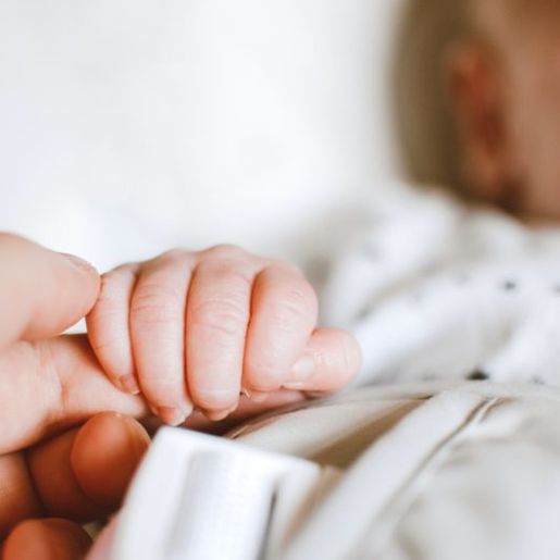 Bebê com 21 dias é atacado e morto por pitbull da própria família