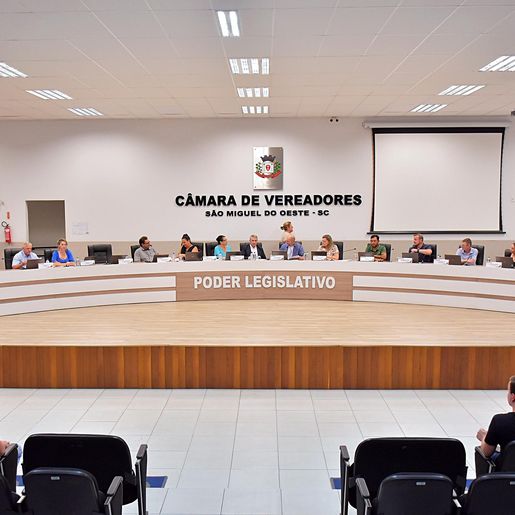 Vereadores rejeitam audiência pública sobre causa animal em São Miguel do Oeste
