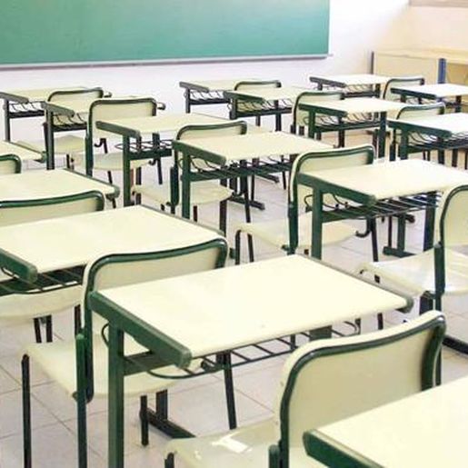 TCE aponta indícios de fraude em 18 mil bolsas de estudos gratuitas custeadas pelo governo de SC