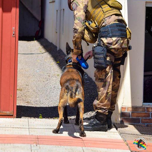 Após denúncia de violência doméstica, homem é detido com drogas e dinheiro
