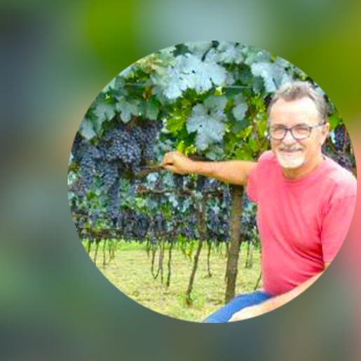 Conectando ao Agro aborda educação financeira no Agronegócio; ouça