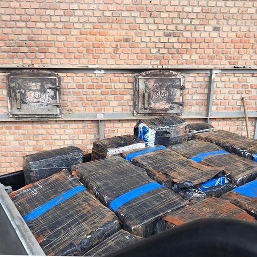 Polícia Civil incinera mais de meia tonelada de maconha