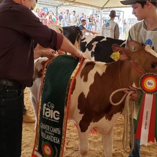 Setor agrícola e agropecuário de Iporã do Oeste terá grande destaque na 10ª FAIC
