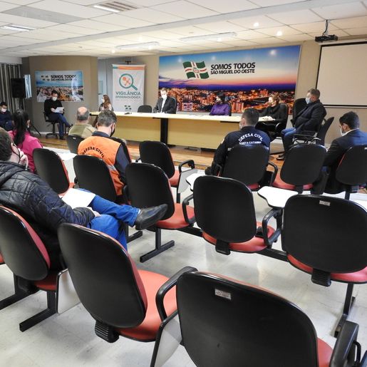 Comitê debate regionalização de medidas contra a COVID-19