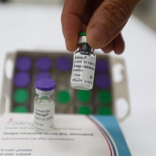 Vacinação contra a dengue será ampliada para a região de Chapecó