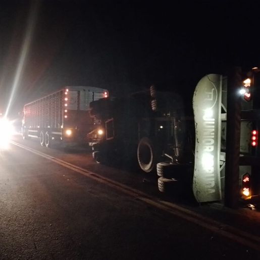 Caminhão carregado com boi tomba em São Lourenço