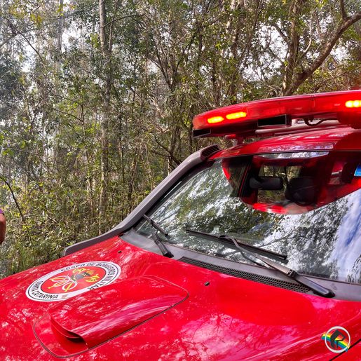 Incêndio atinge área de vegetação e eucaliptos no interior de Bandeirante