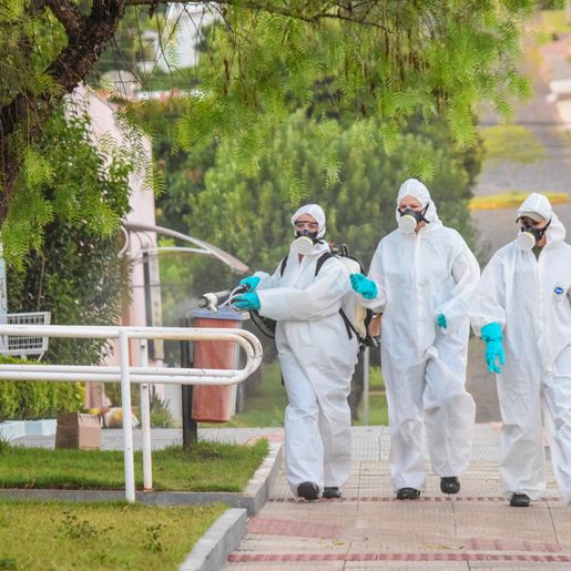 Casos confirmados de dengue sobem para 11 em São Miguel do Oeste