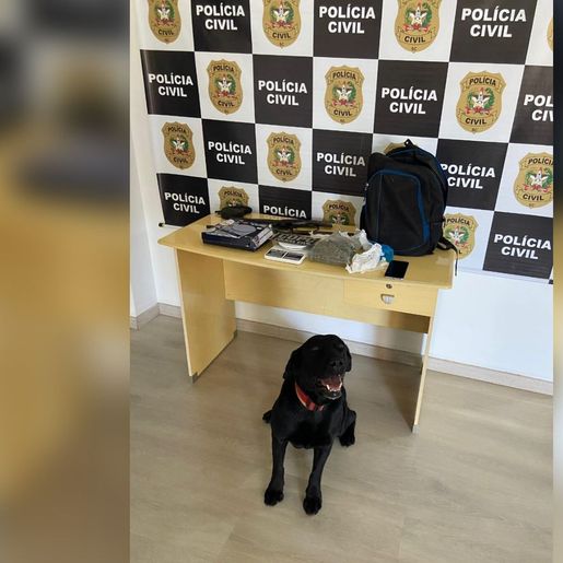 Adolescente é alvo de operação e polícia apreende droga em São Miguel do Oeste