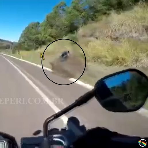 VÍDEO: Motociclista flagra acidente na BR-282 em Paraíso