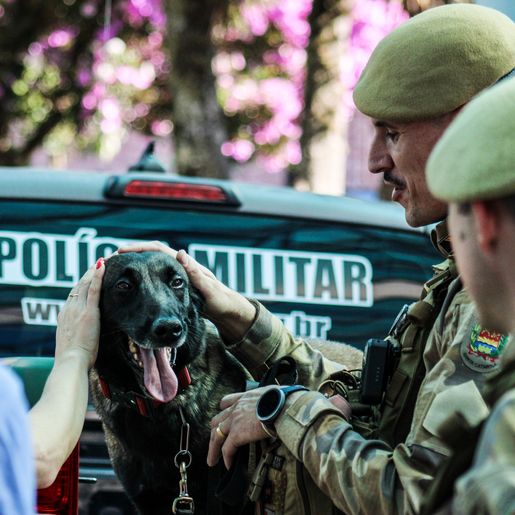 “Dia C de Cooperar” reúne grande público em São Miguel do Oeste