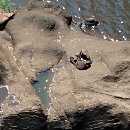 Polícia Civil apura casos de invasão à propriedades para consumo de drogas