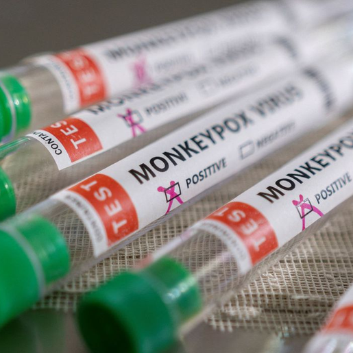 Ministério monitora três casos suspeitos de varíola dos macacos
