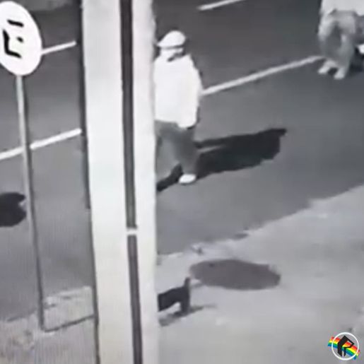 VÍDEO: Empresário denuncia tentativa de furto em São Miguel do Oeste