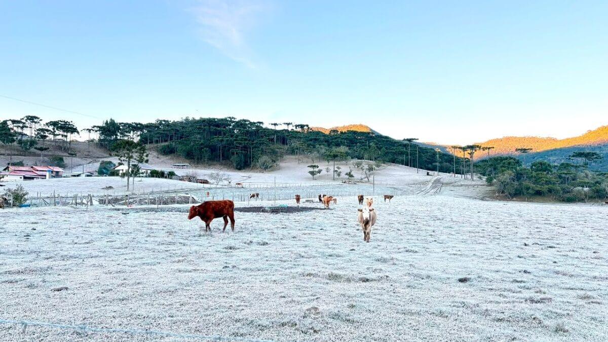 Bom Jardim da Serra registra -6,1°C e tem a menor temperatura do Brasil