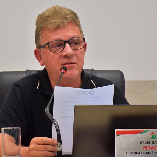 Vereadores questionam sobre podas, estudo socioambiental e transporte escolar