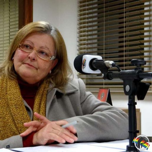 Pandemia vai atrasar início da construção do Ceapi em SMOeste