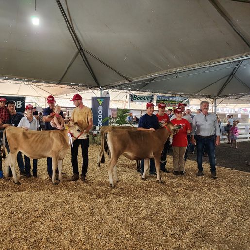 Avaliação de bezerras e novilhas é realizada na 11ª Efrait de Itapiranga