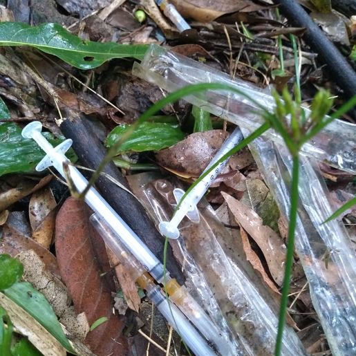 Campanha em Descanso incentiva descarte correto de medicamentos usados por diabéticos