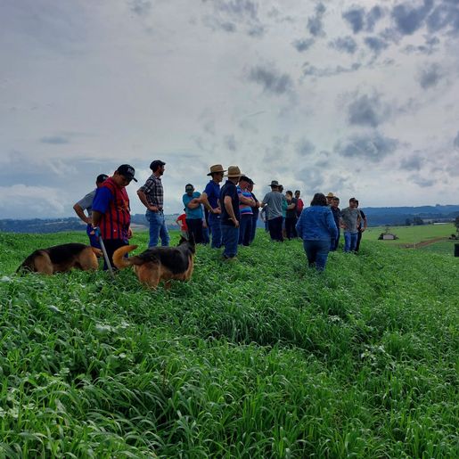 Capacitação sobre conservação do solo acontece este mês