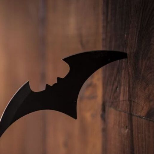 Vereadora propõe a criação do Dia do Batman em Florianópolis