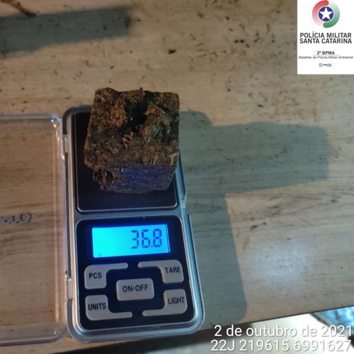 Menores são flagrados em festa clandestina com bebidas e maconha em Itapiranga