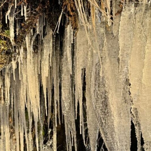 Cidade mais fria do Brasil bate recorde de frio em SC em 2025