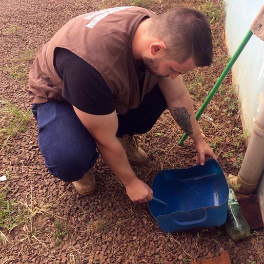 Número de focos do mosquito da dengue aumenta em Descanso e epidemiologia intensifica notificações