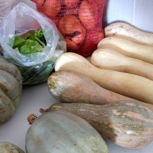 Escola Básica Cedrense e Sintraf realizam campanha para arrecadação de mantimentos