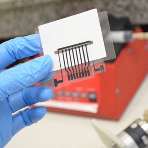 Vacina em testes pode revolucionar o combate ao Alzheimer