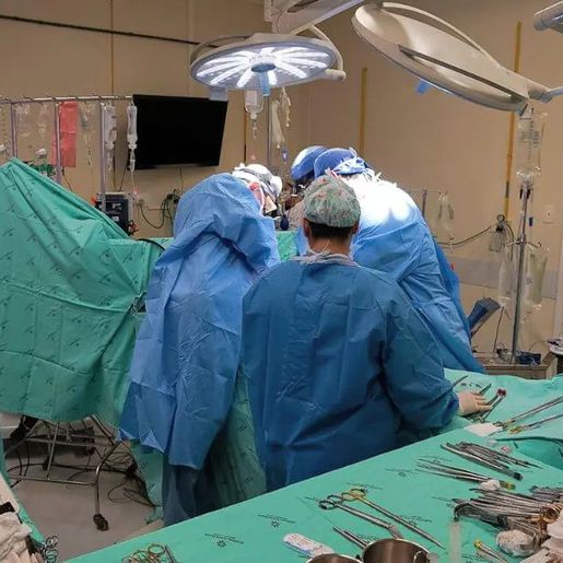 Santa Catarina tem a maior taxa de doadores de órgãos do Brasil, aponta relatório